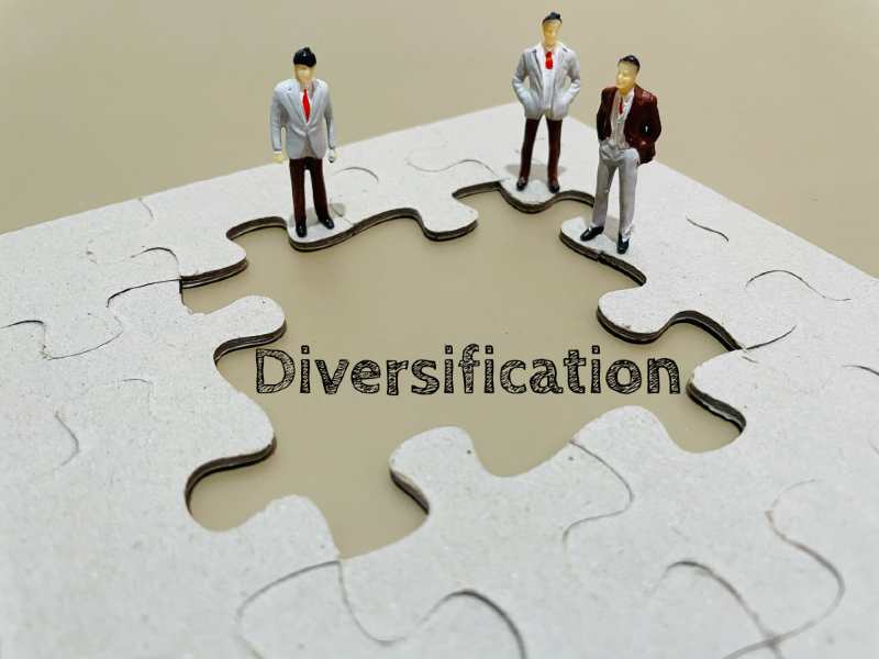Power of Diversifying Your Stock Portfolio: Balancing Risk and Growth