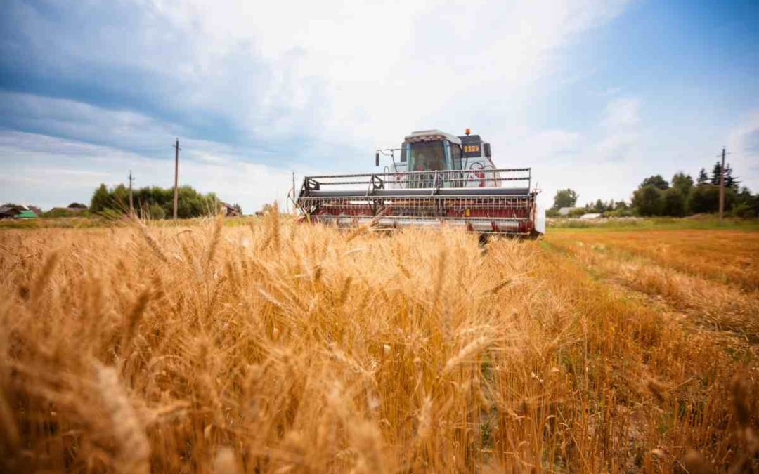 Tax Loss Harvesting: A Strategic Year-End Tax Planning Tool?