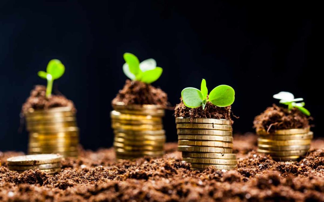 Stock Market Commentary May 2024